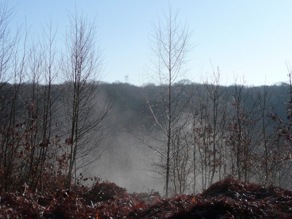 P1280447 [Résolution de l'écran]